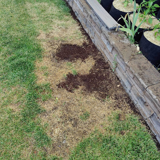 Photo from customer review