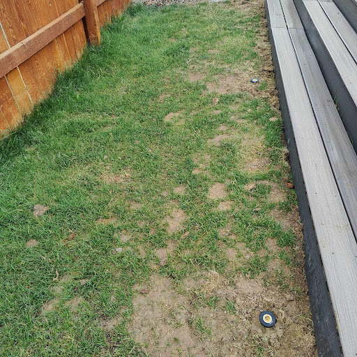 Photo from customer review