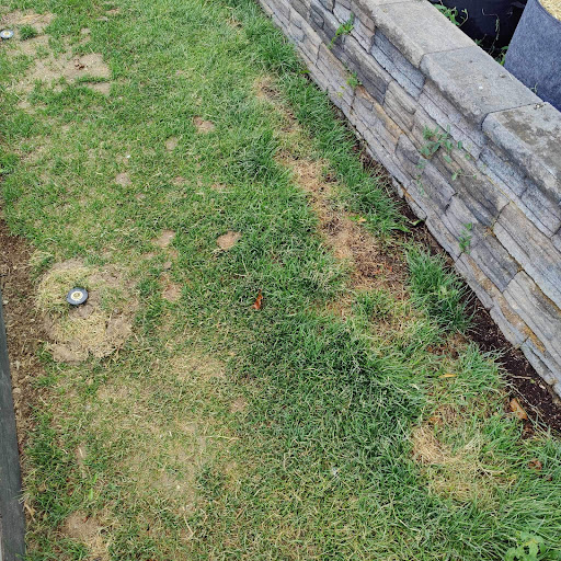 Photo from customer review